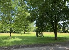 Ahrenshof W 10